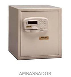 Ambassador Wall Safe