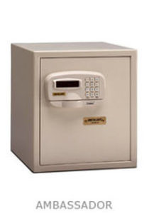 Ambassador Safe Denver