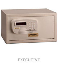 Executive Vault Safe Denver