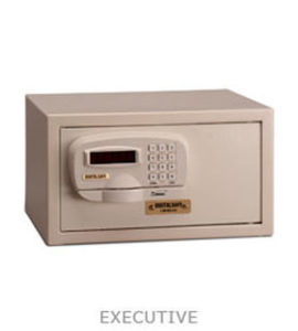 Executive Vault Safe Denver